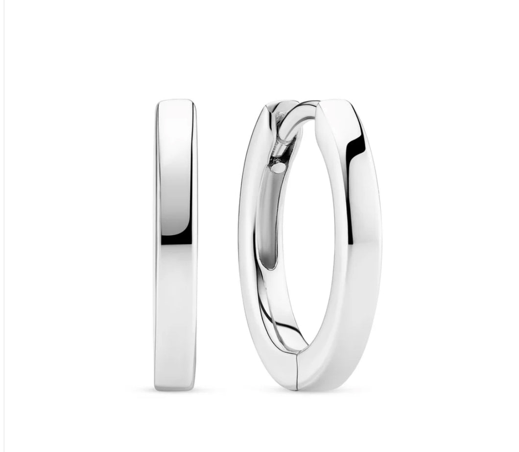 Sterling Silver Earrings