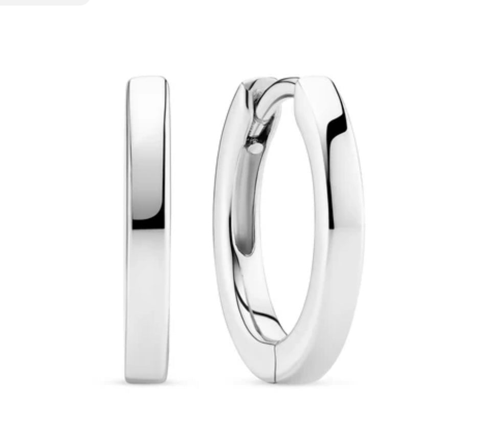 Sterling Silver Earrings