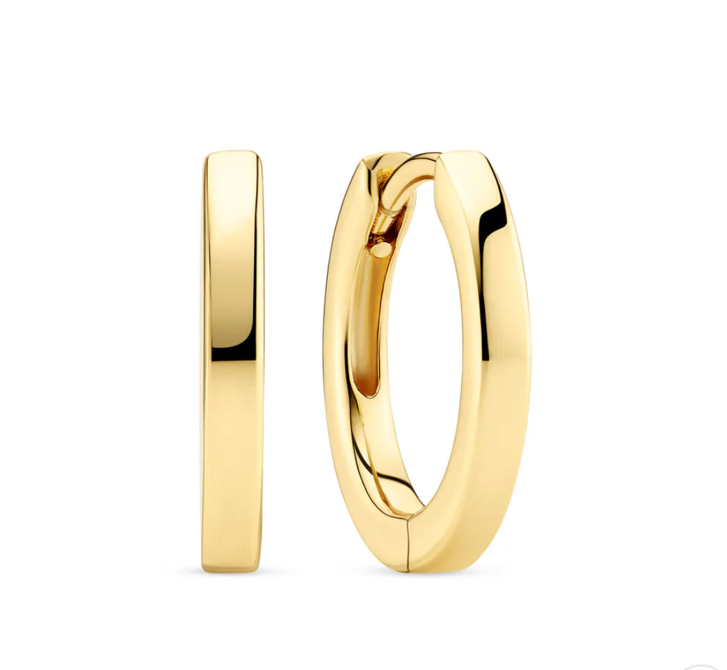 18k Gold Plated Sterling Silver Earrings