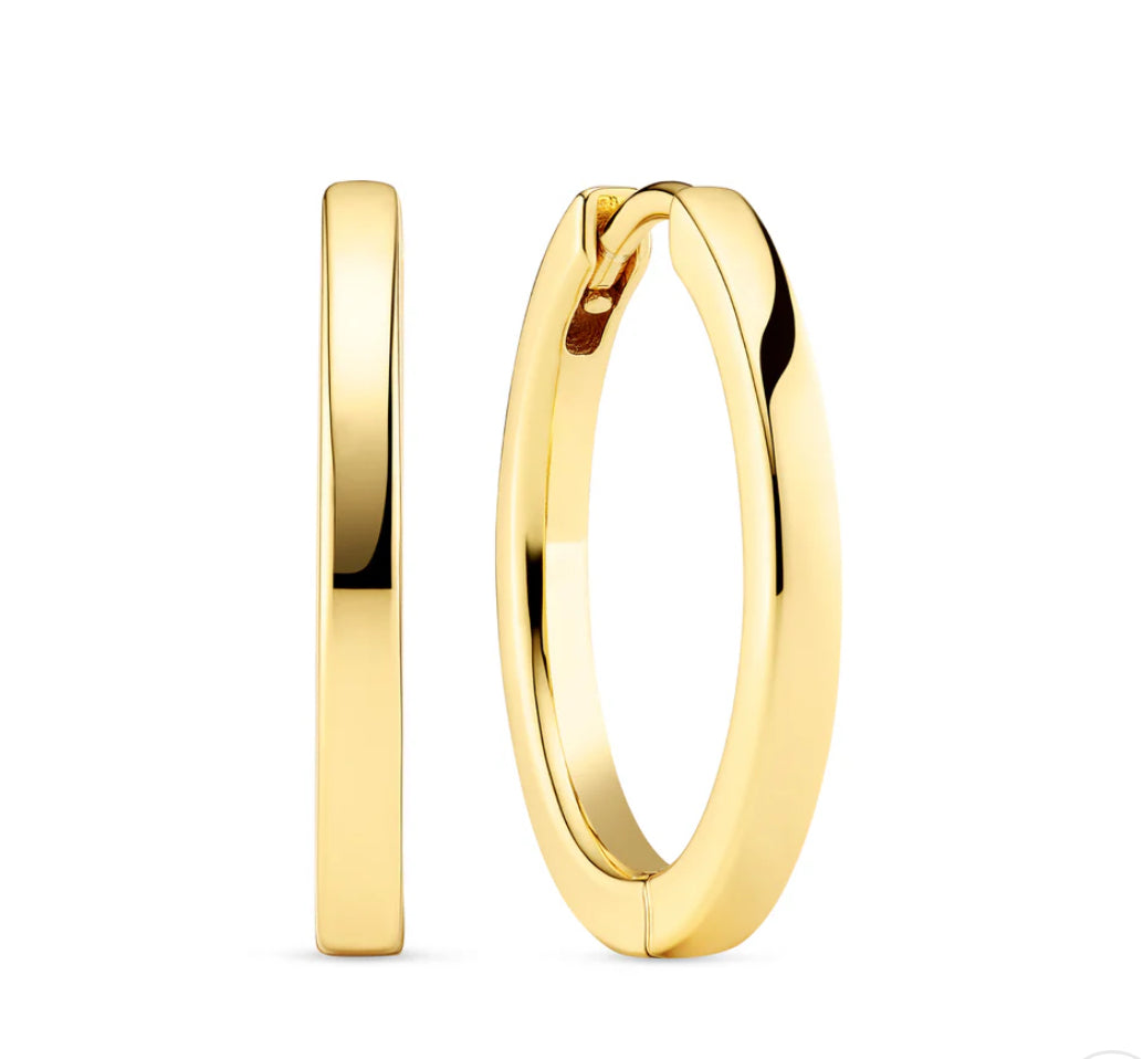 18k Gold Plated Sterling Silver Earrings