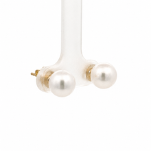 Load image into Gallery viewer, 14k Yellow Gold Akoya Pearl Studs
