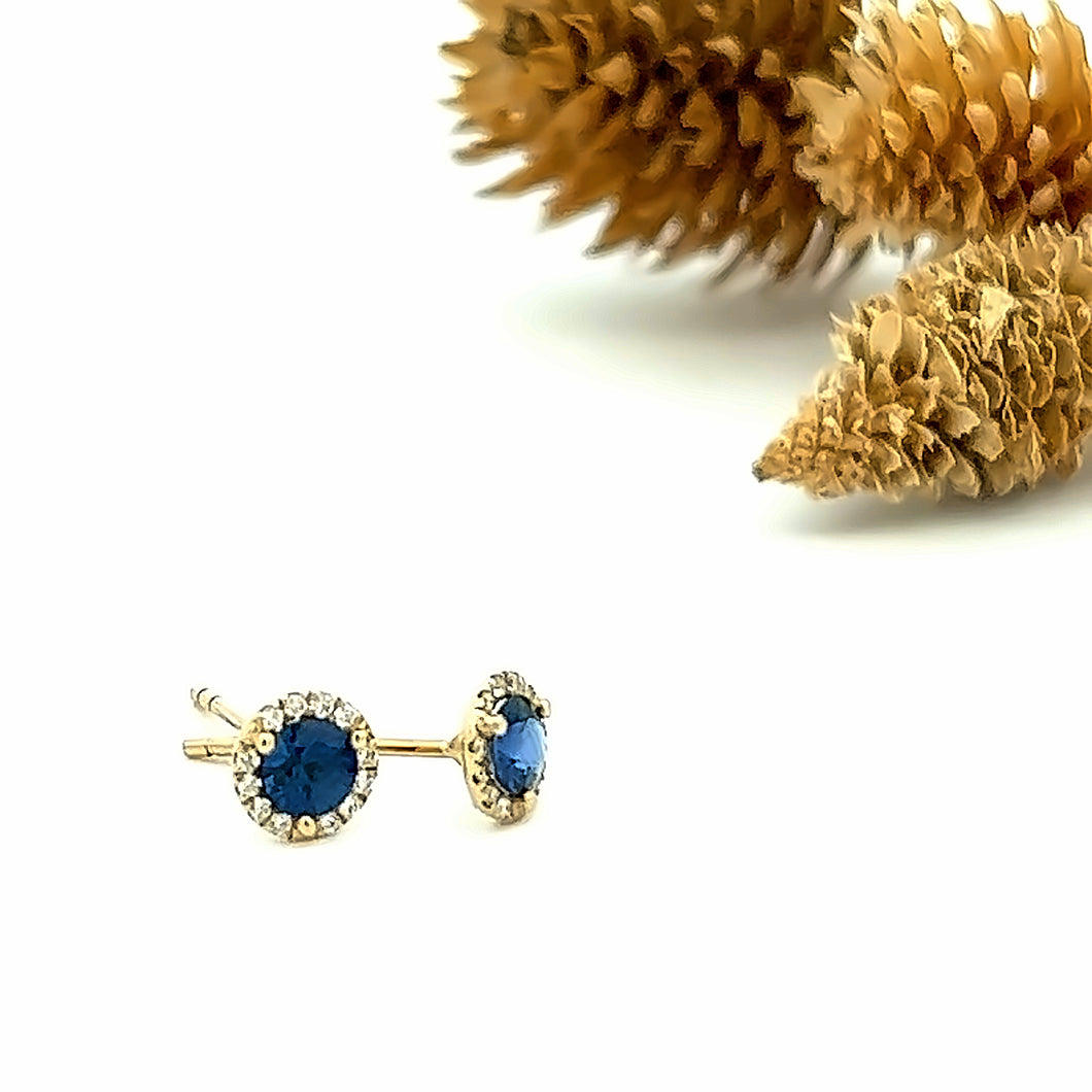 14k Yellow Gold Sapphire Studs