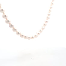 Load image into Gallery viewer, Akoya Pearl Necklace with 14k White Gold Clasp
