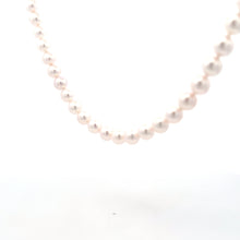 Load image into Gallery viewer, Akoya Pearl Necklace with 14k White Gold Clasp

