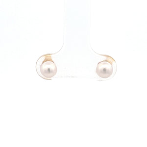 14k Yellow Gold Akoya Pearl Studs