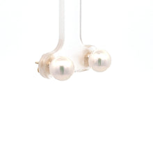 Load image into Gallery viewer, 14k Yellow Gold Akoya Pearl Studs
