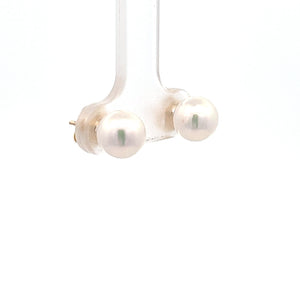 14k Yellow Gold Akoya Pearl Studs