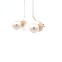 Load image into Gallery viewer, 14k Yellow Gold Akoya Pearl Studs
