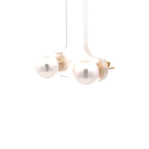 14k Yellow Gold Akoya Pearl Studs