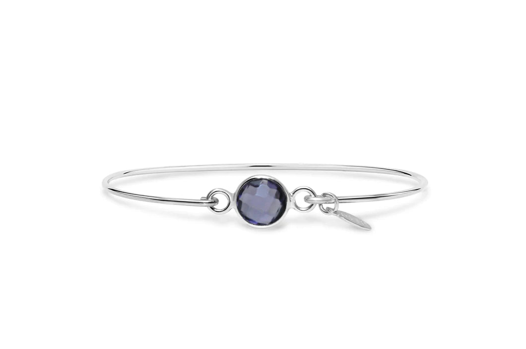Signature Skinny Bracelet Amethyst