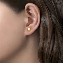 Load image into Gallery viewer, 14k Yellow Gold Studs

