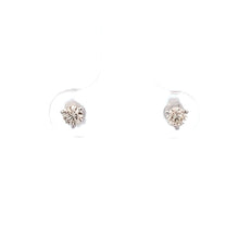 Load image into Gallery viewer, 14k White Gold Diamond Studs
